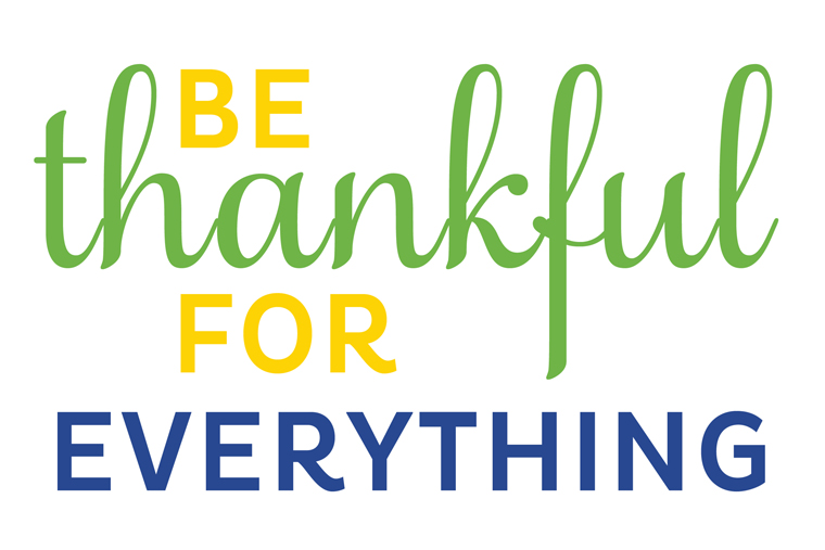 The AMAZING Life Manifesto: Be Thankful for Everything By Liz and Ryan