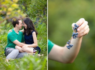 Butler's Orchard Engagement Session Photos by Liz and Ryan Farm Engagement Session Pick Your Own Farm Blueberries Blueberry Soda Blueberry Beer Picnic Engagement Session Maryland Wedding and Engagement Photography Pick Your Own Blueberries Pick Your Own Flowers Flower Fields Photos by Liz and Ryan (20)