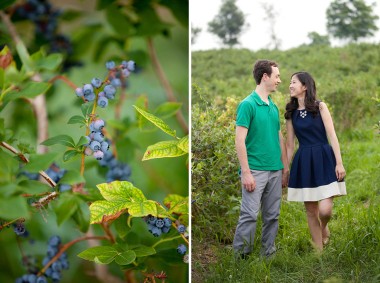 Butler's Orchard Engagement Session Photos by Liz and Ryan Farm Engagement Session Pick Your Own Farm Blueberries Blueberry Soda Blueberry Beer Picnic Engagement Session Maryland Wedding and Engagement Photography Pick Your Own Blueberries Pick Your Own Flowers Flower Fields Photos by Liz and Ryan (15)